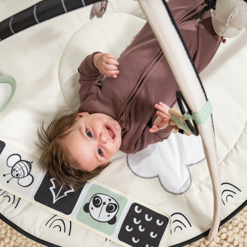 Tiny Love | Black & White Decor Collection Developmental Gymini - Image 5