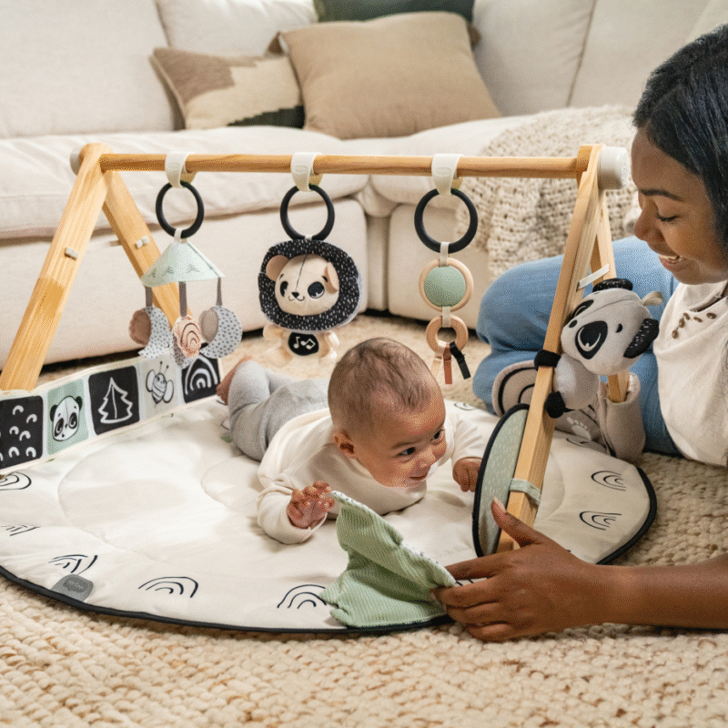 Tiny Love | Black & White Decor Collection Luxe Developmental Gymini