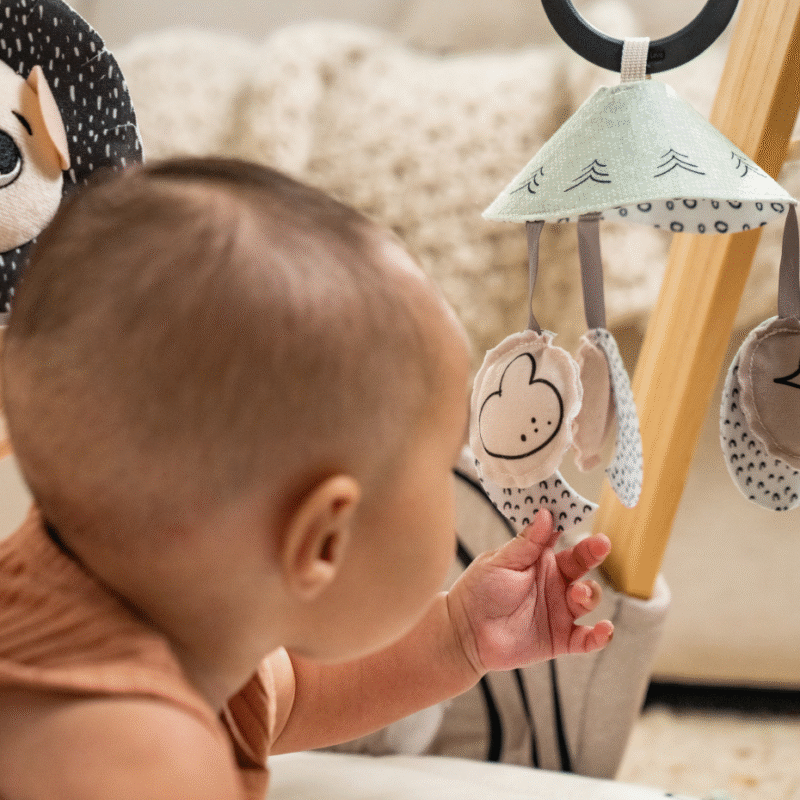Tiny Love | Black & White Decor Collection Luxe Developmental Gymini - Image 3
