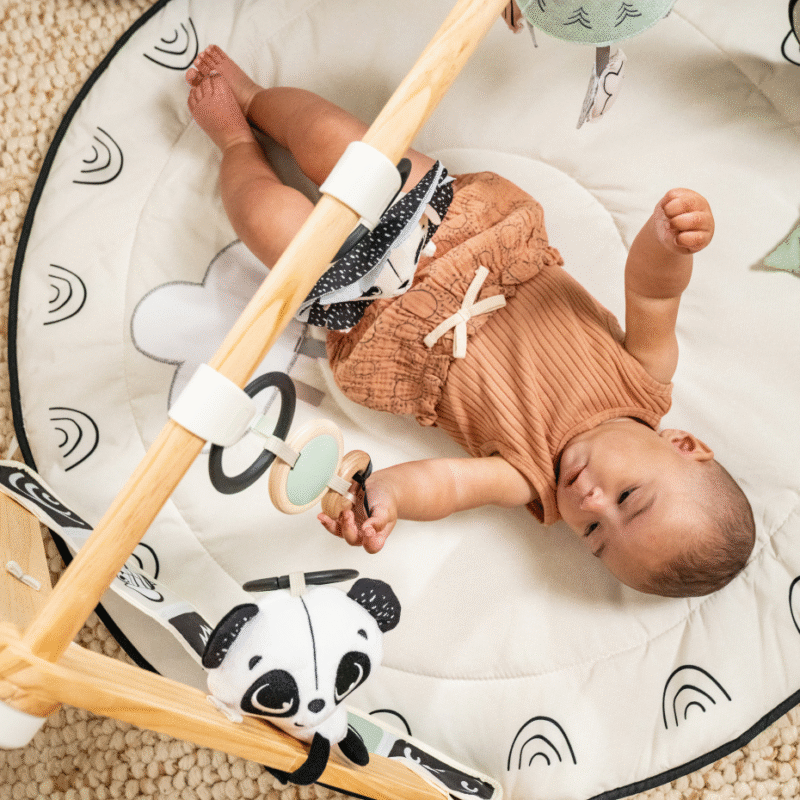 Tiny Love | Black & White Decor Collection Luxe Developmental Gymini - Image 2
